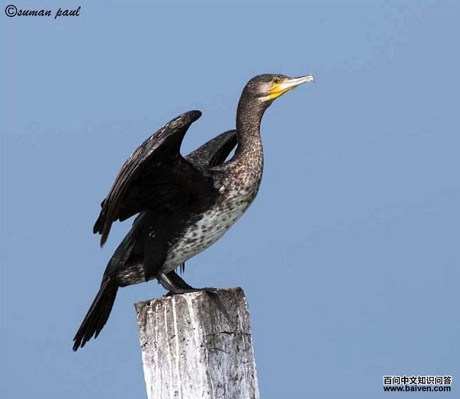 ��ͨ��ˣ��ǳ���