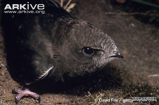 ��ͨ¥�ࣺ�ǳ���