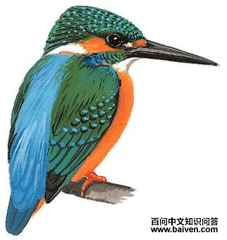 ��ͨ������̬����ͼ