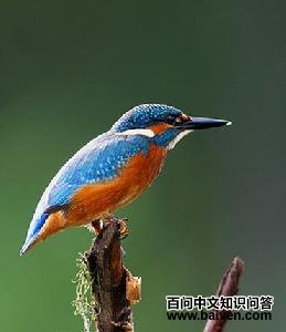 ��ͨ��������