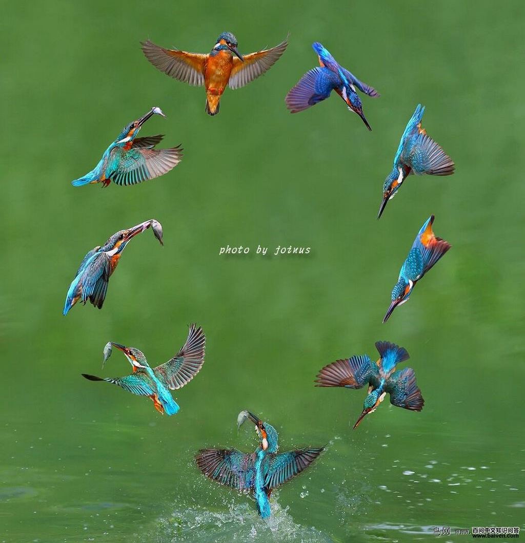 ���������ͼ�⣬����joinus