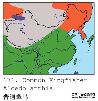 ��ͨ���񣺵����ֲ�ͼ