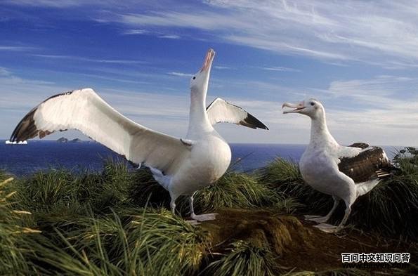 Ư��������