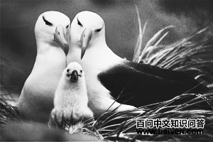 Ư��������