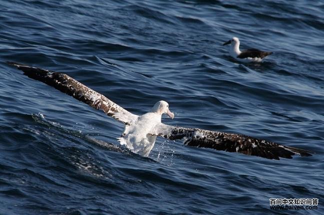 Ư��������