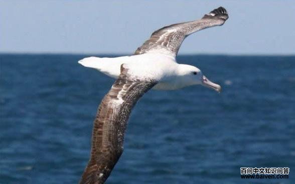 Ư��������