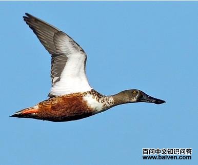 ����Ѽ����ͼ