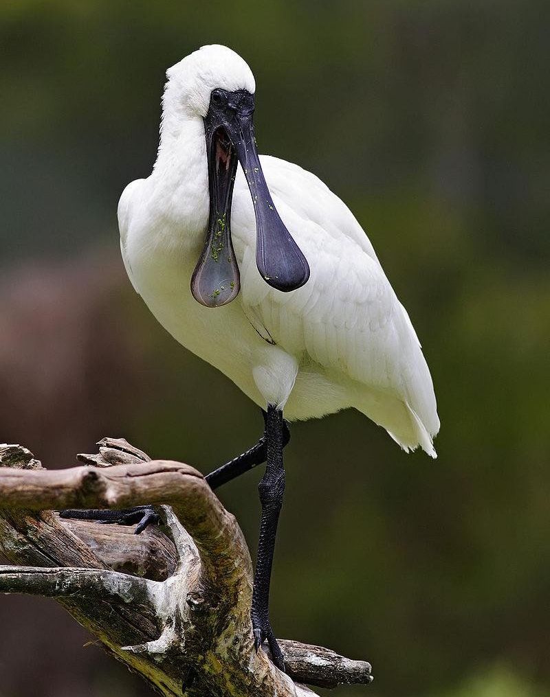 ��������ͼƬ