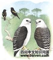 ���������\