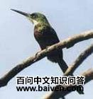 �����Ƶ�ͼƬ