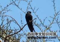 ���Ͼ�����ͼƬ