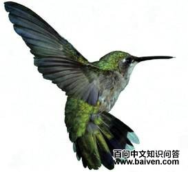 �����β�����ͼƬ