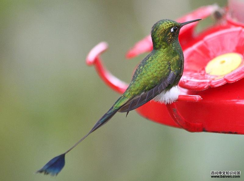 ��β�����ͼƬ