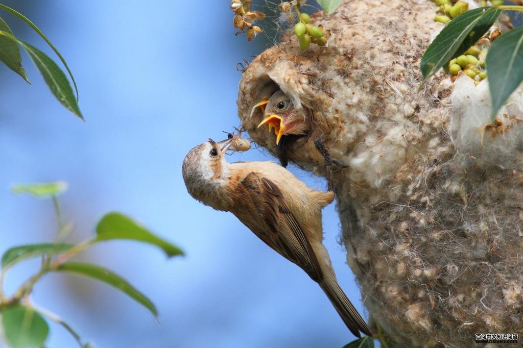 ��ȸ��������