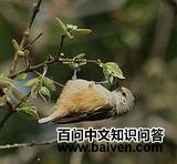 ������ȸ��