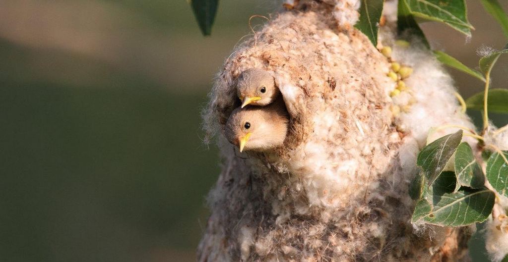 ��ȸ����