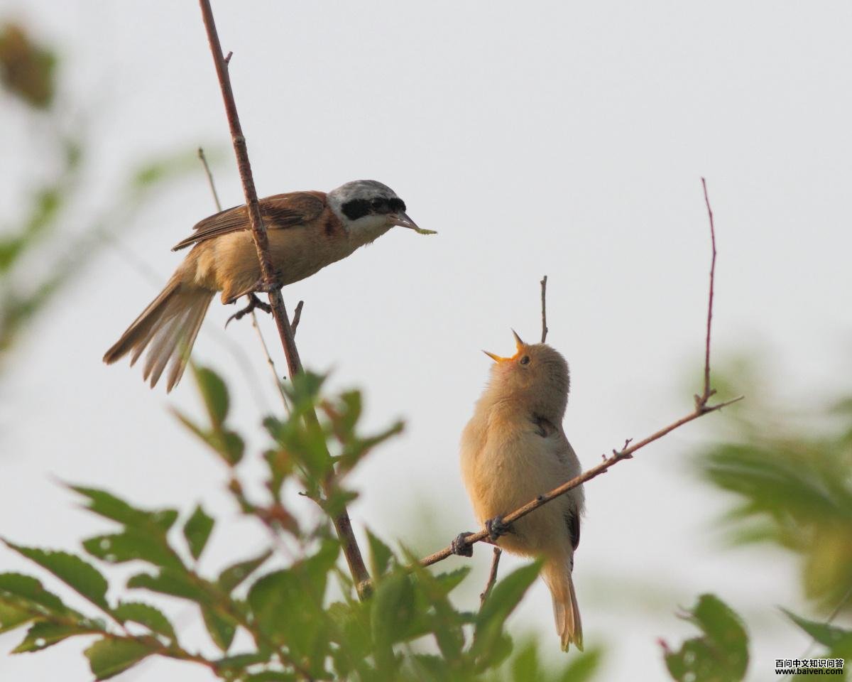 ��ȸ��������