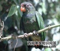 ÅÉÎÌÄá˹ðÐðÄÊô ÅÉÎÌÄá˹ðÐðÄÊôµÄͼƬ