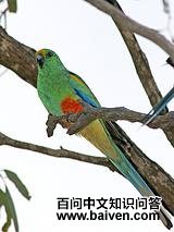 �¼�����