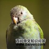 �ڹ�����