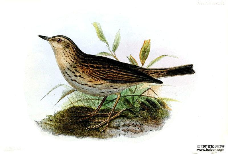 �����ҵ�ͼƬ