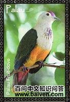 ��������ͼƬ