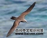 ����Ÿ��