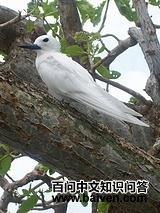 ����Ÿ��