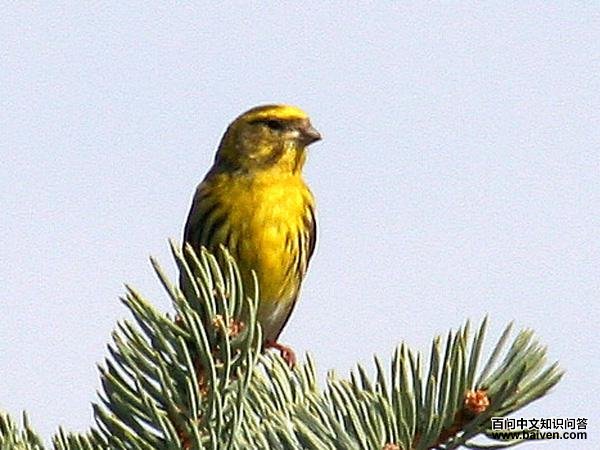 ŷ��˿ȸ��ͼƬ