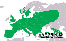 ŷ������ľ�񣺵����ֲ�ͼ