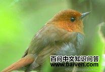 ŷ�������ͼƬ