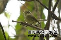 ŷ�ϼ����l��ͼƬ