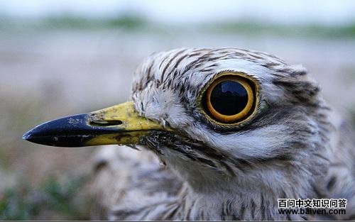 ŷʯ�a�������½�