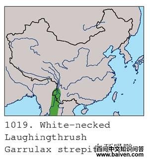 �׾�����