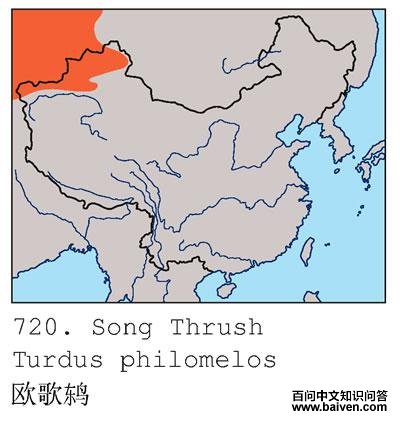 ŷ�������ֲ�ͼ