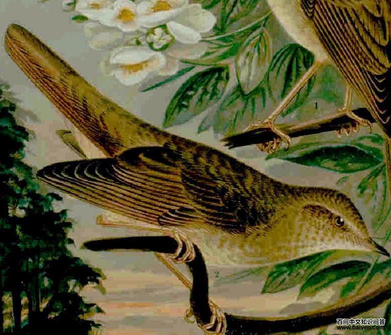 ŷ��𶣺��̬����ͼ