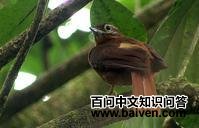 ŵ��ʰҶȸ��ͼƬ