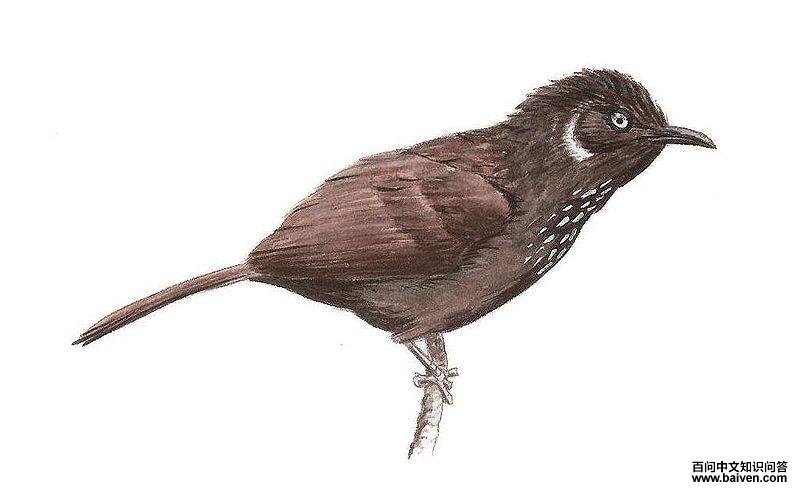 Ū�����̣���̬����ͼ