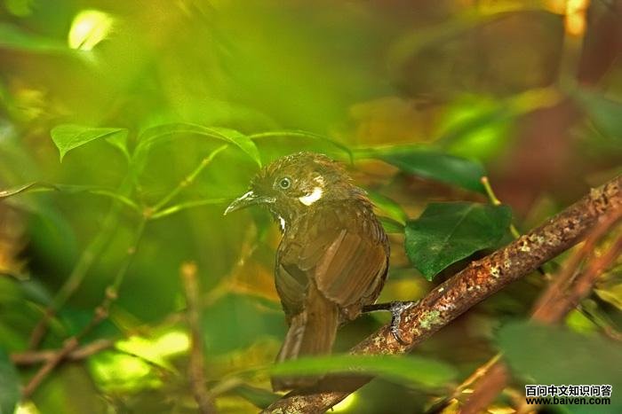 Ū������