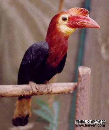 Ť��Ϭ���ͼƬ