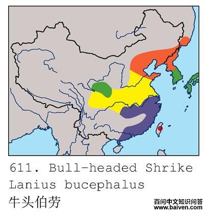 ţͷ���ͣ������ֲ�ͼ