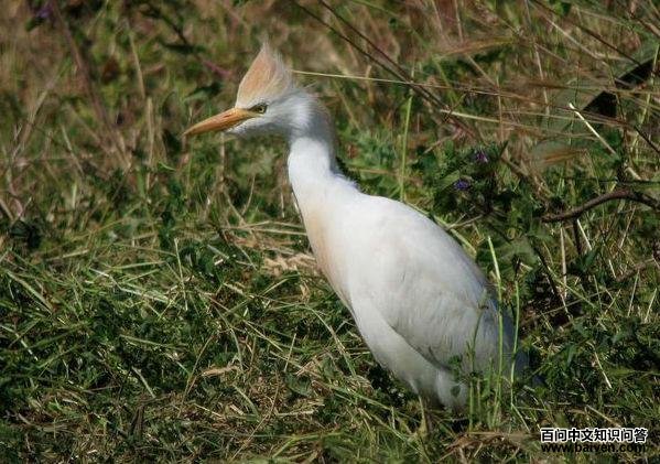 ţ������