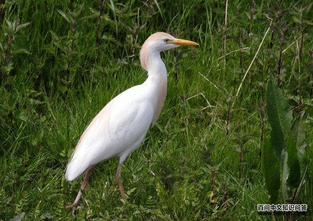 ţ������