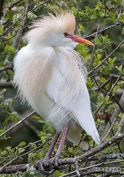 ţ������