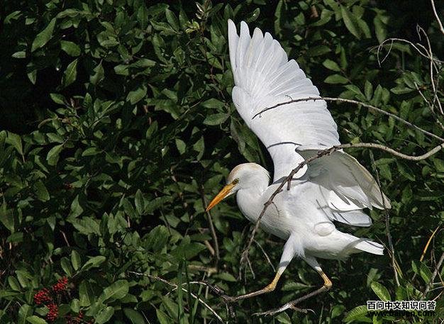 ţ������