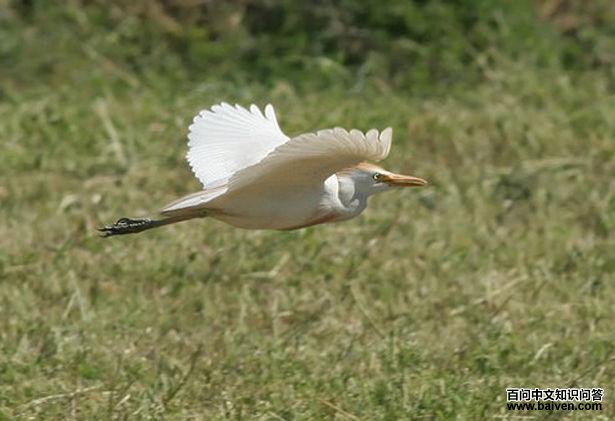 ţ������