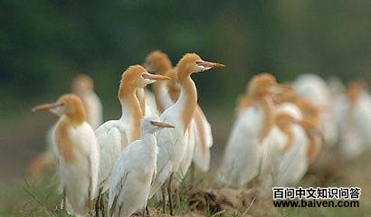 ţ������