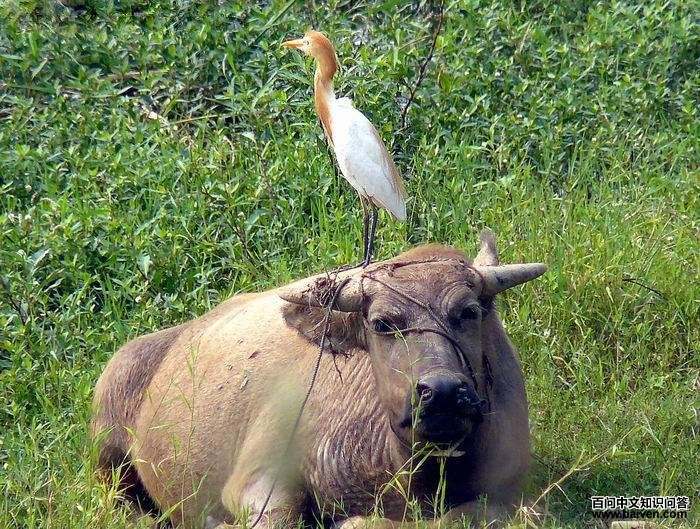 ţ���ص�ͼƬ