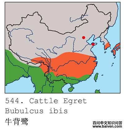 ţ���أ������ֲ�ͼ