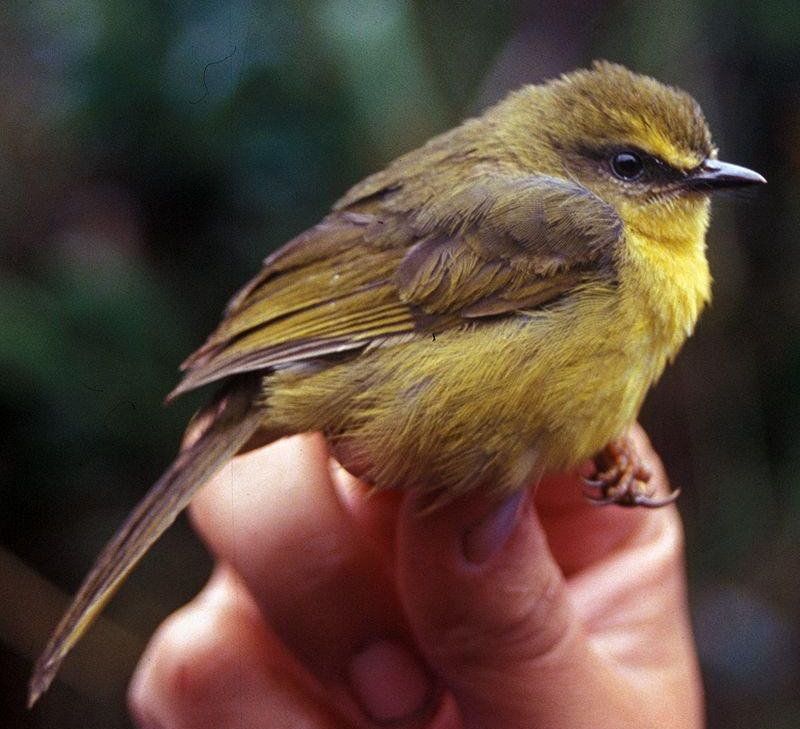 ������ɭݺ��ͼƬ